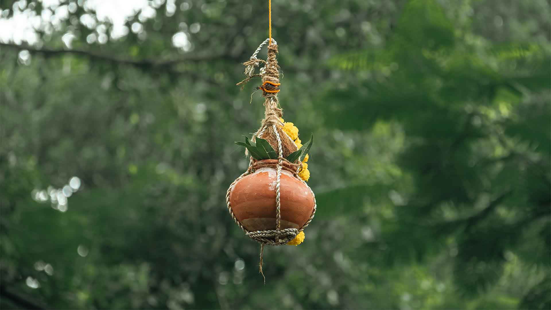 कृष्ण जन्माष्टमी-दही हांडी: मथुरा का 100 साल पुराना पेड़ा हमेशा रहेगा प्रासंगिक, जानें शहर का इतिहास