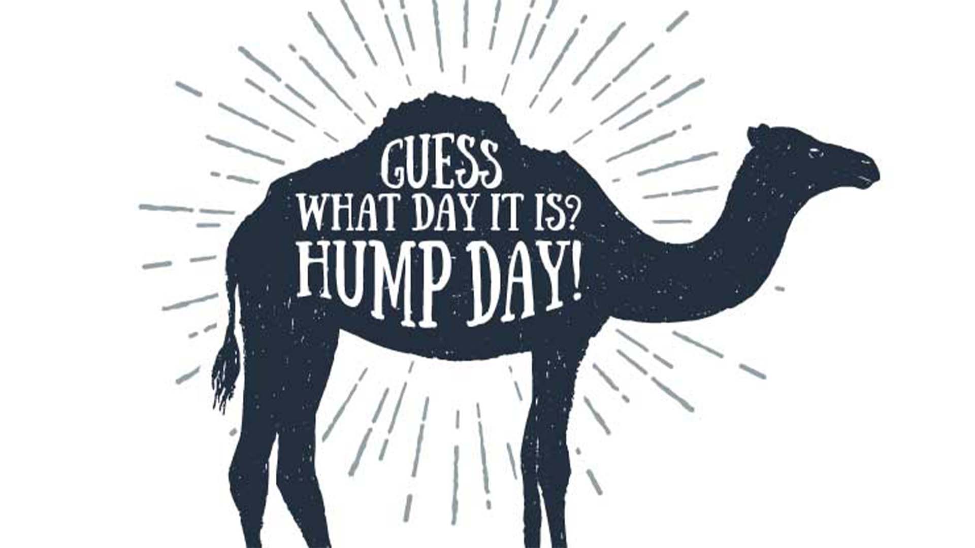 Why Is Wednesday Hump Day and How to Conquer It
