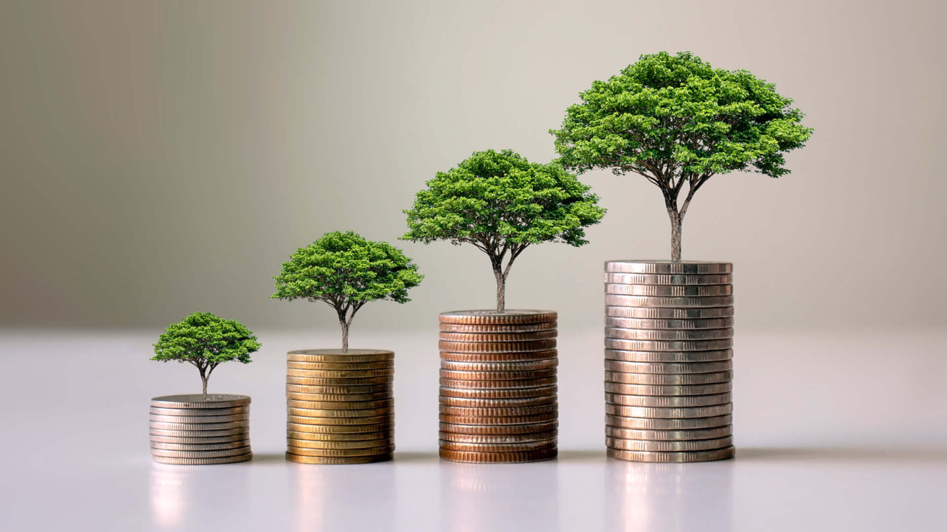Sustainability: Framework For Green Deposits